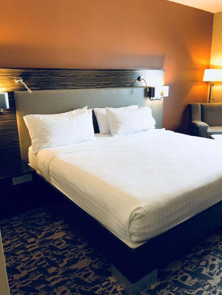 Holiday Inn Express & Suites North Dallas At Preston By Ihg Екстер'єр фото